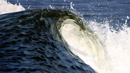 Catching The Waves Favorite Netaudio Moments 2008