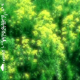 Umisetsu & Martin Dot – »Flowers EP« (Rain Netlabel)