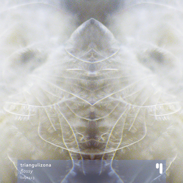 TrianguliZona – »Flossy« (Testtube Netlabel)