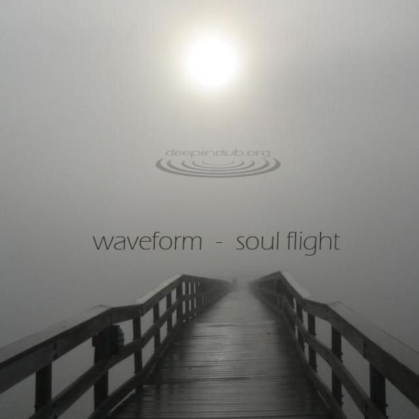 Listen to Waveform – »Soul Flight« (Deep In Dub Netlabel)